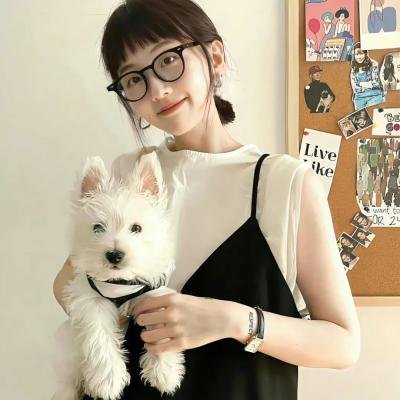 境界战机第二季
